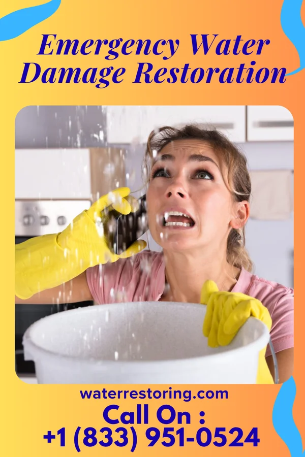 Emergency Water Damage Restoration in Tamiami, FL