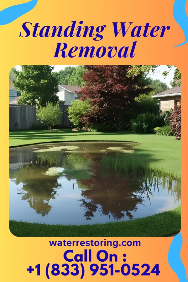 Standing Water Removal in Tamiami, FL
